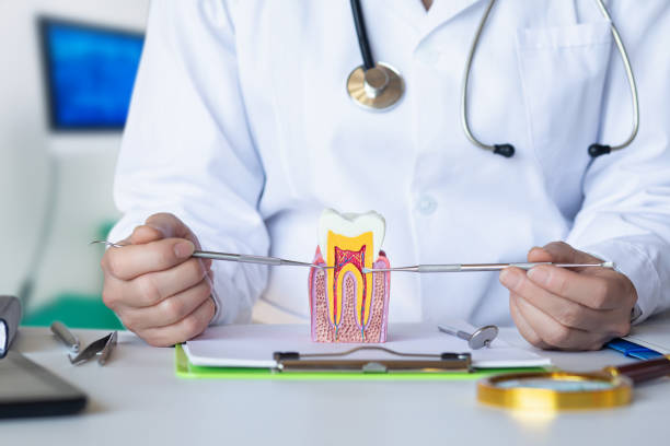 Best Emergency Dental Services for Seniors in Verona, VA